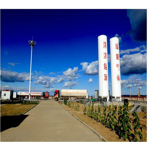 采油技術(shù)服務(wù) 提升油氣采收率的關(guān)鍵支撐