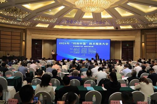 2024年科創(chuàng)中國(guó)技術(shù)服務(wù)大會(huì)在泰安圓滿舉辦 引領(lǐng)技術(shù)創(chuàng)新與產(chǎn)業(yè)融合新篇章